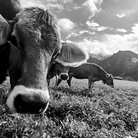 아파트 Oberstockach 슈벤다우