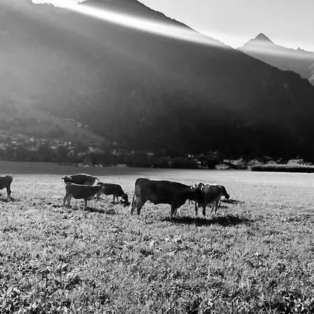 Daire Oberstockach Schwendau
