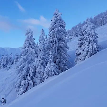 Apartament Oberstockach