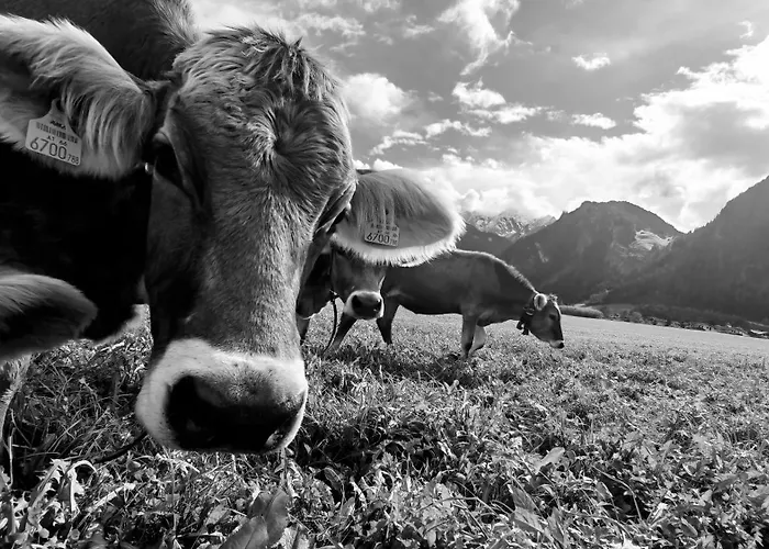 شقة Oberstockach شفينداو