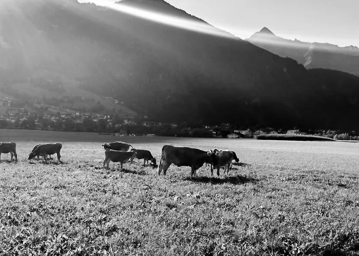 شقة Oberstockach شفينداو